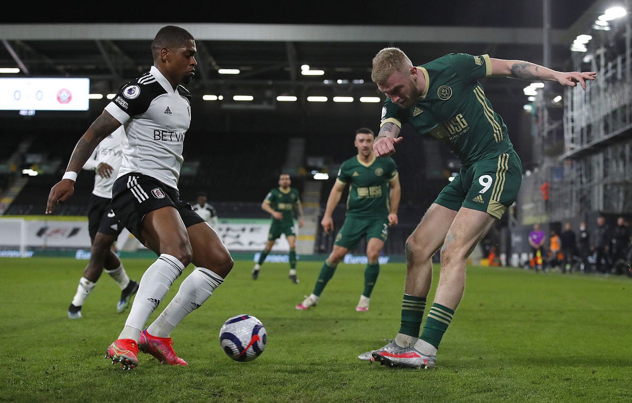 提供了重要 提供了重要